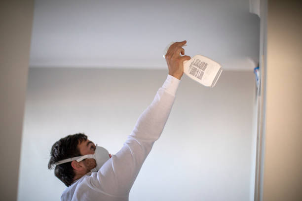 Best Mold Removal Near Me  in Ben Avon, PA
