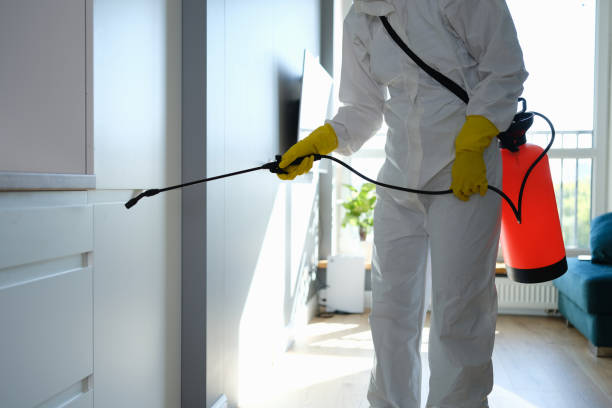 Best Attic Mold Removal  in Ben Avon, PA